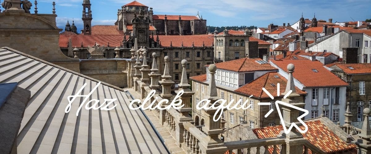 visita tejados catedral