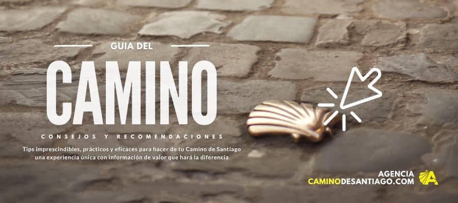 Cual es la mejor guia para hacer el camino de santiago