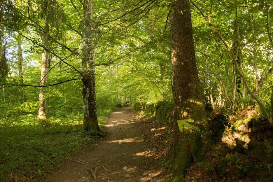 Camino de Santiago con menos asfalto